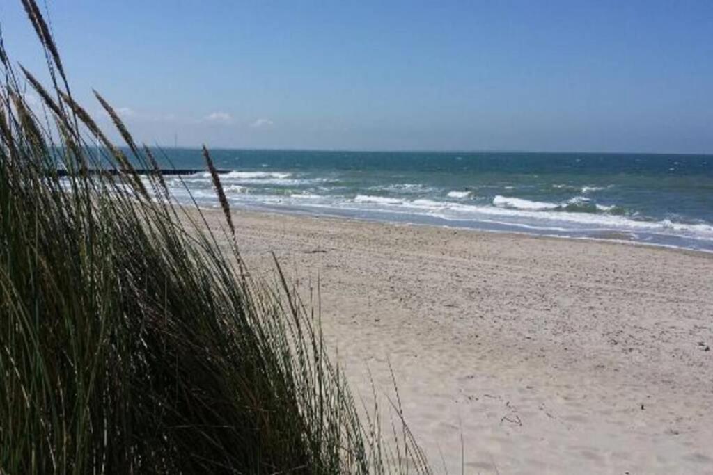 The Cottage - 2 Persoons Cottage Nabij Strand En Meer Zonnemaire Esterno foto